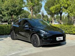 Tesla Model Y Rear-Wheel Drive - ფოტო 3