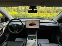 Tesla Model Y Rear-Wheel Drive - ფოტო 9