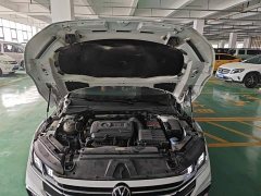 Volkswagen CC Shooting Brake 380TSI Hunting Heart Edition - ფოტო 16