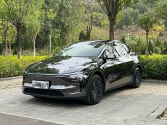 Tesla Model Y Rear-Wheel Drive - ფოტო 1