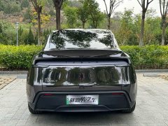 Tesla Model Y Rear-Wheel Drive - ფოტო 5