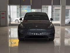 Tesla Model Y Rear-Wheel Drive - photo 3