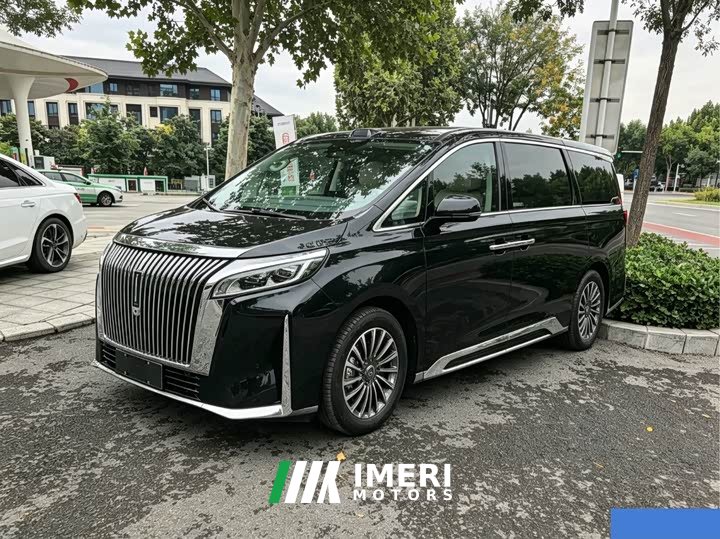 Great Wall WEY Shanshan New Energy Four-Wheel Drive Shanshan 9