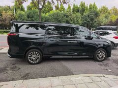Great Wall WEY Shanshan New Energy Four-Wheel Drive Shanshan 9 - ფოტო 5