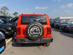 Tank 300 2.0T Gasoline Conqueror - ფოტო 4