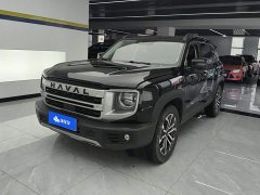 Great Wall Dachshund 1.5T DCT Border Collie Edition - ფოტო 1