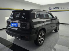 Great Wall Dachshund 1.5T DCT Border Collie Edition - ფოტო 3