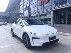 Tesla Model Y Rear-Wheel Drive - ფოტო 3
