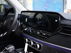 FAW Hongqi HS5 2.0T Two-Wheel Drive Mystic Shadow Edition - ფოტო 14