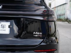 FAW Hongqi HS5 2.0T Two-Wheel Drive Mystic Shadow Edition - ფოტო 18