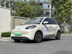 Wuling Binguo 333km Joy Edition - ფოტო 1