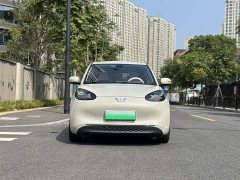 Wuling Binguo 333km Joy Edition - ფოტო 2
