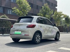Wuling Binguo 333km Joy Edition - ფოტო 4