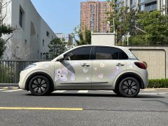 Wuling Binguo 333km Joy Edition - ფოტო 7