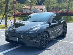 Tesla Model Y Standard Range RWD - ფოტო 1