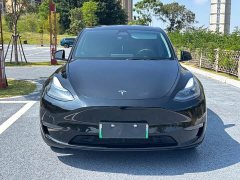 Tesla Model Y Standard Range RWD - ფოტო 2