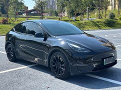 Tesla Model Y Standard Range RWD - ფოტო 3