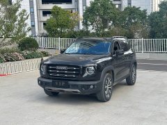 Great Wall Dachshund 1.5T DCT Two-Wheel Drive Border Collie Edition - ფოტო 1