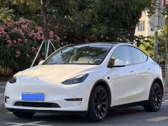 Tesla Model Y High Performance All-Wheel Drive - ფოტო 1