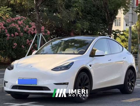 2023 Tesla Model Y High Performance All-Wheel Drive - ავტომობილი ჩინეთიდან
