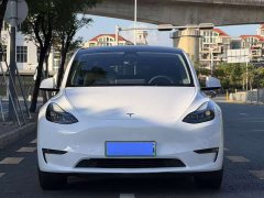 Tesla Model Y High Performance All-Wheel Drive - ფოტო 2