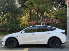 Tesla Model Y High Performance All-Wheel Drive - ფოტო 3