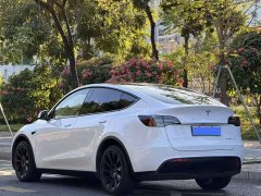 Tesla Model Y High Performance All-Wheel Drive - ფოტო 4