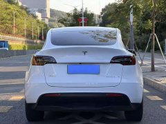 Tesla Model Y High Performance All-Wheel Drive - ფოტო 5