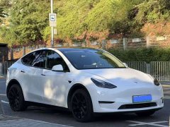Tesla Model Y High Performance All-Wheel Drive - ფოტო 6