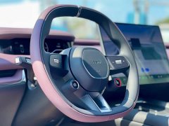 Xiaomi SU7 Rear-Wheel Drive Standard Edition - ფოტო 14