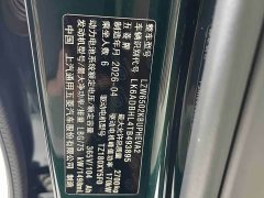 Wuling Starlight L 260km Six-Seat Premium Edition - ფოტო 12