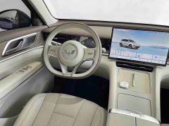 Wuling Starlight L 260km Six-Seat Premium Edition - ფოტო 19