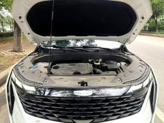 Geely Boyue L 1.5TD DCT Deluxe Edition - ფოტო 19