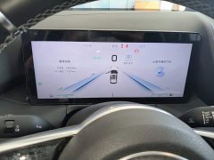 FAW Red Flag HS3 PHEV 117km Dynamic Edition - ფოტო 11