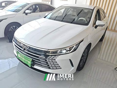 2024 BYD Destroyer 05 Glory Edition DM-i 55KM Luxury
