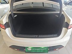 BYD Destroyer 05 Glory Edition DM-i 55KM Luxury - ფოტო 18