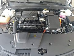 BYD Destroyer 05 Glory Edition DM-i 55KM Luxury - ფოტო 19