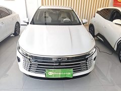 BYD Destroyer 05 Glory Edition DM-i 55KM Luxury - ფოტო 2