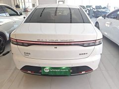 BYD Destroyer 05 Glory Edition DM-i 55KM Luxury - ფოტო 5