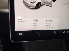 Tesla Model 3 Standard Range RWD Upgrade - ფოტო 11