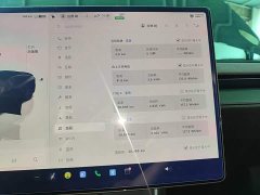 Tesla Model Y Rear-Wheel Drive - ფოტო 11
