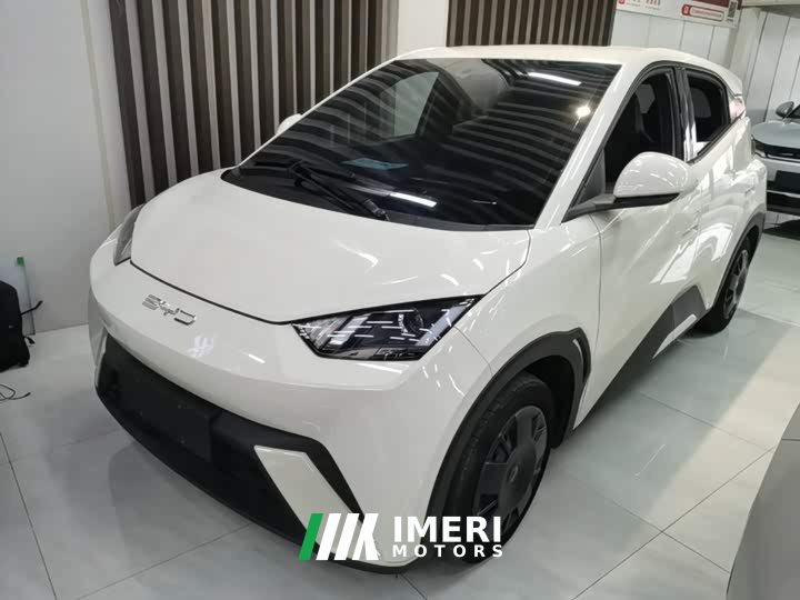 BYD Seagull Vitality Edition