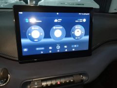 BYD Seagull Vitality Edition - ფოტო 12