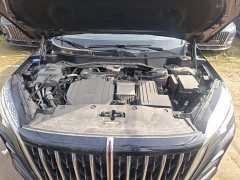 FAW Red Flag HS3 PHEV 117km Dynamic Edition - photo 19