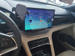 BYD Song Plus New Energy DM-i 51KM Premium Edition - ფოტო 12