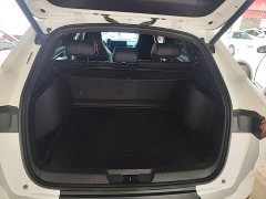 BYD Song Plus New Energy DM-i 51KM Premium Edition - ფოტო 18
