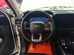 Haval Cool Dog 1.5T DCT FWD Trendy Edition - ფოტო 10