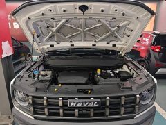 Haval Cool Dog 1.5T DCT FWD Trendy Edition - ფოტო 19