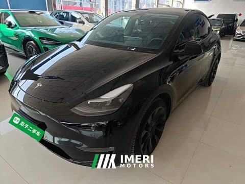 2021 Tesla Model Y Standard Range RWD - ავტომობილი ჩინეთიდან