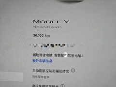 Tesla Model Y Standard Range RWD - ფოტო 11